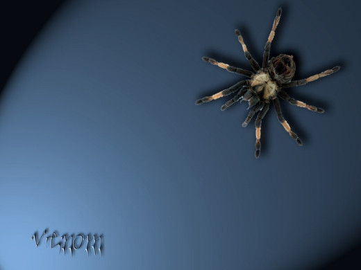 351917 (a): :1024x768